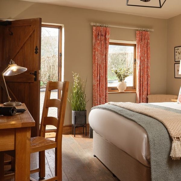 Serene Salmon - Superior King