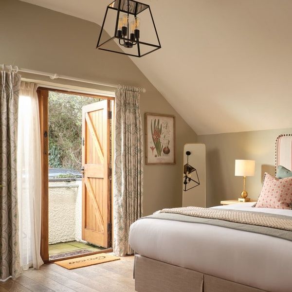 Dashing Dace - Deluxe King