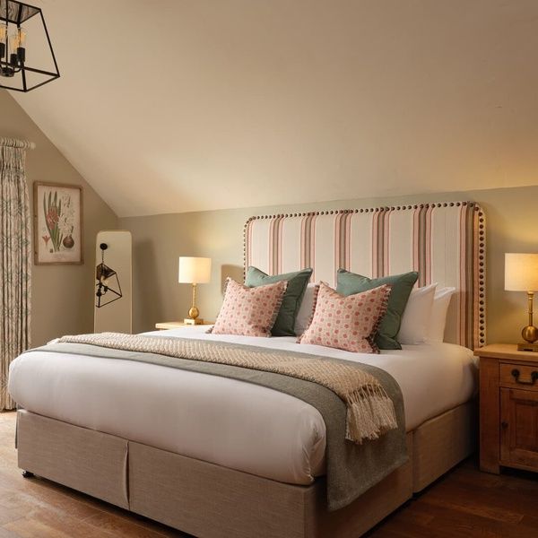 Dashing Dace - Deluxe King