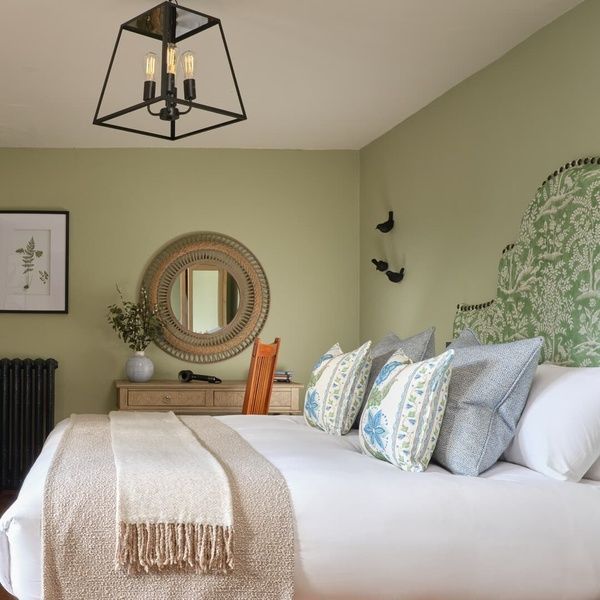 Happy Heron - Superior King