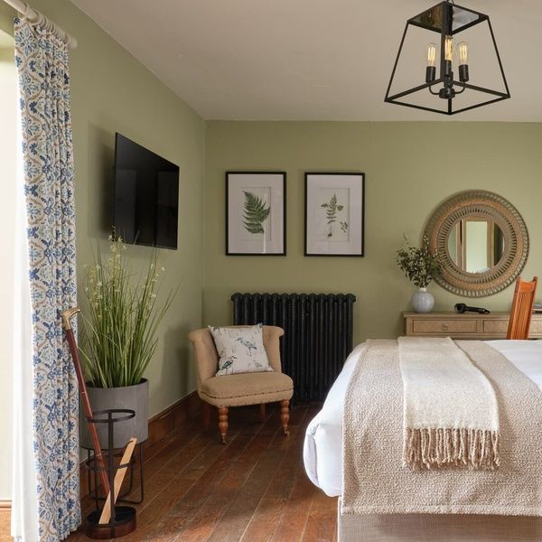 Happy Heron - Superior King